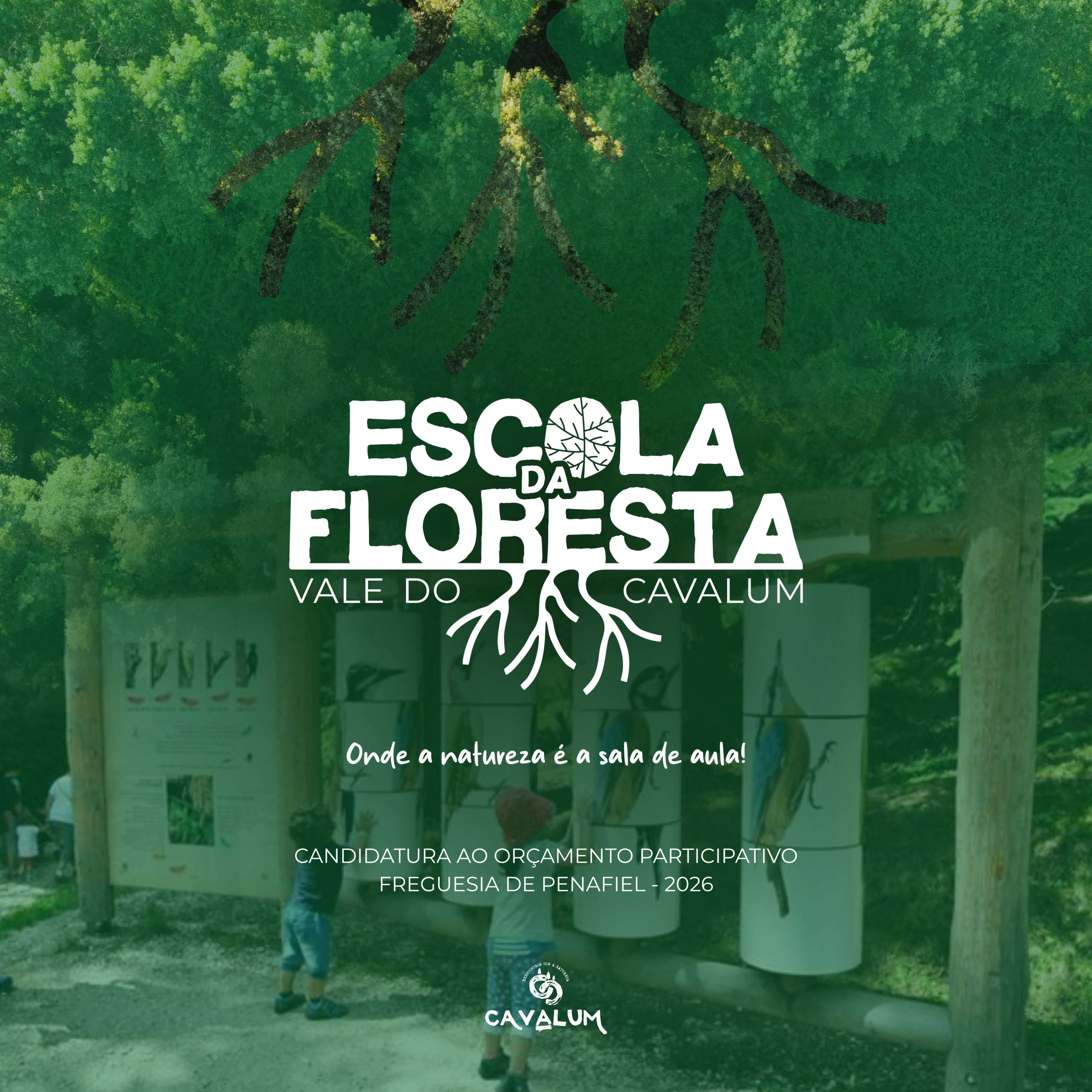 Escola da Floresta - Vale do Cavalum